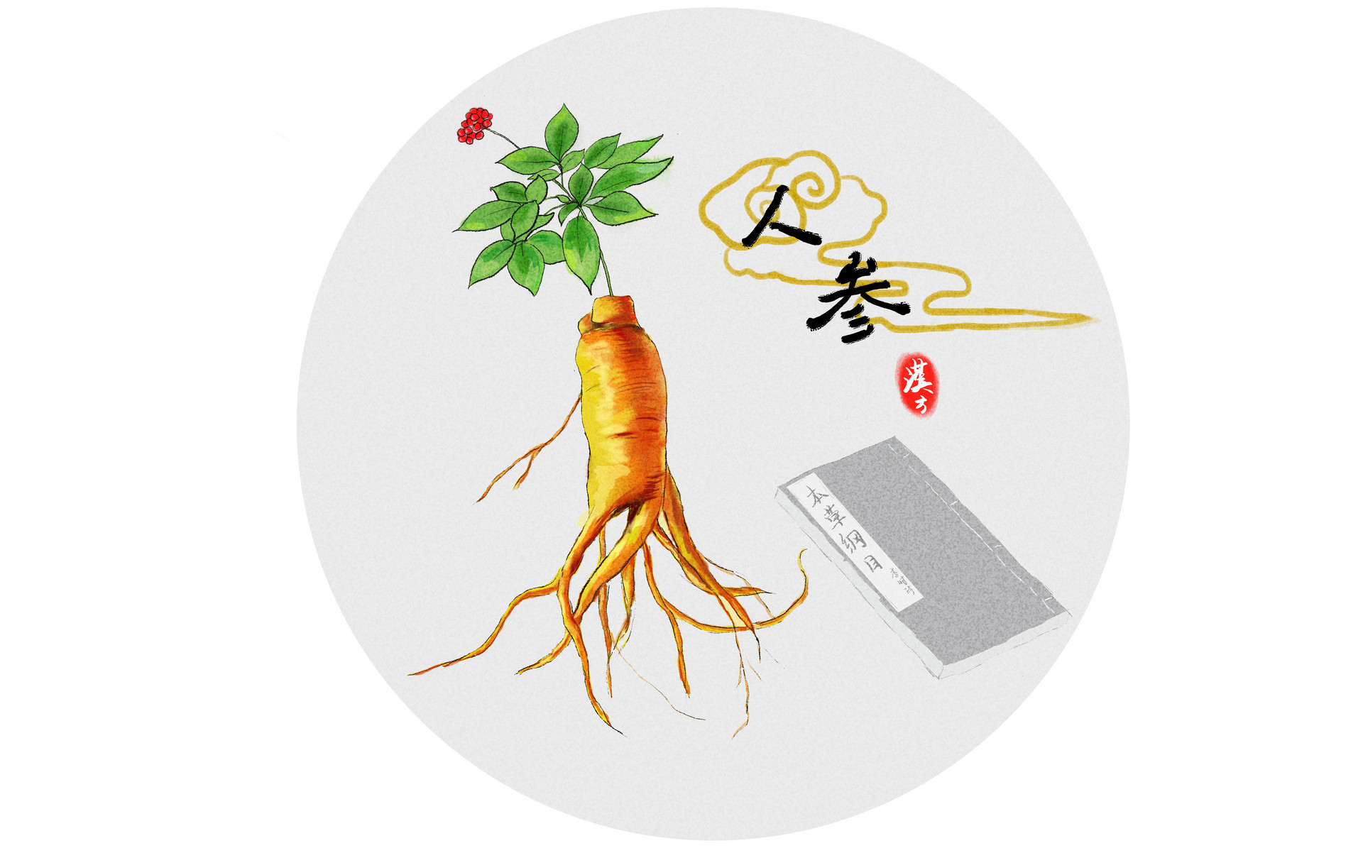 高丽参的功效与作用及禁忌