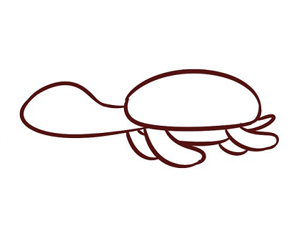 如何画小乌龟简笔画步骤图片3