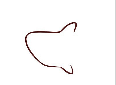 如何画鲨鱼简笔画步骤 幼儿园画鲨鱼的简笔画步骤1