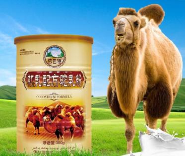依巴特初乳配方驼奶粉多少钱