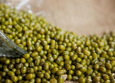 绿豆多少钱一斤2020
