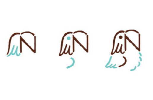 可爱的鹦鹉简笔画怎么画 字母N简笔画图片大全2