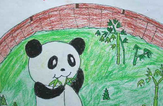 熊猫和竹子儿童画图片大全3