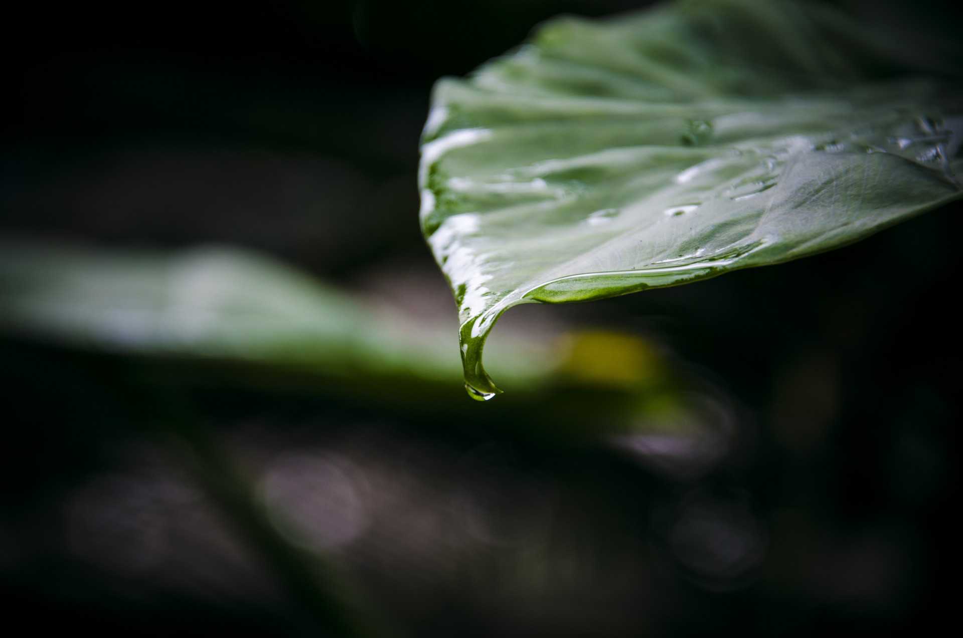 梅雨季节怎么防潮