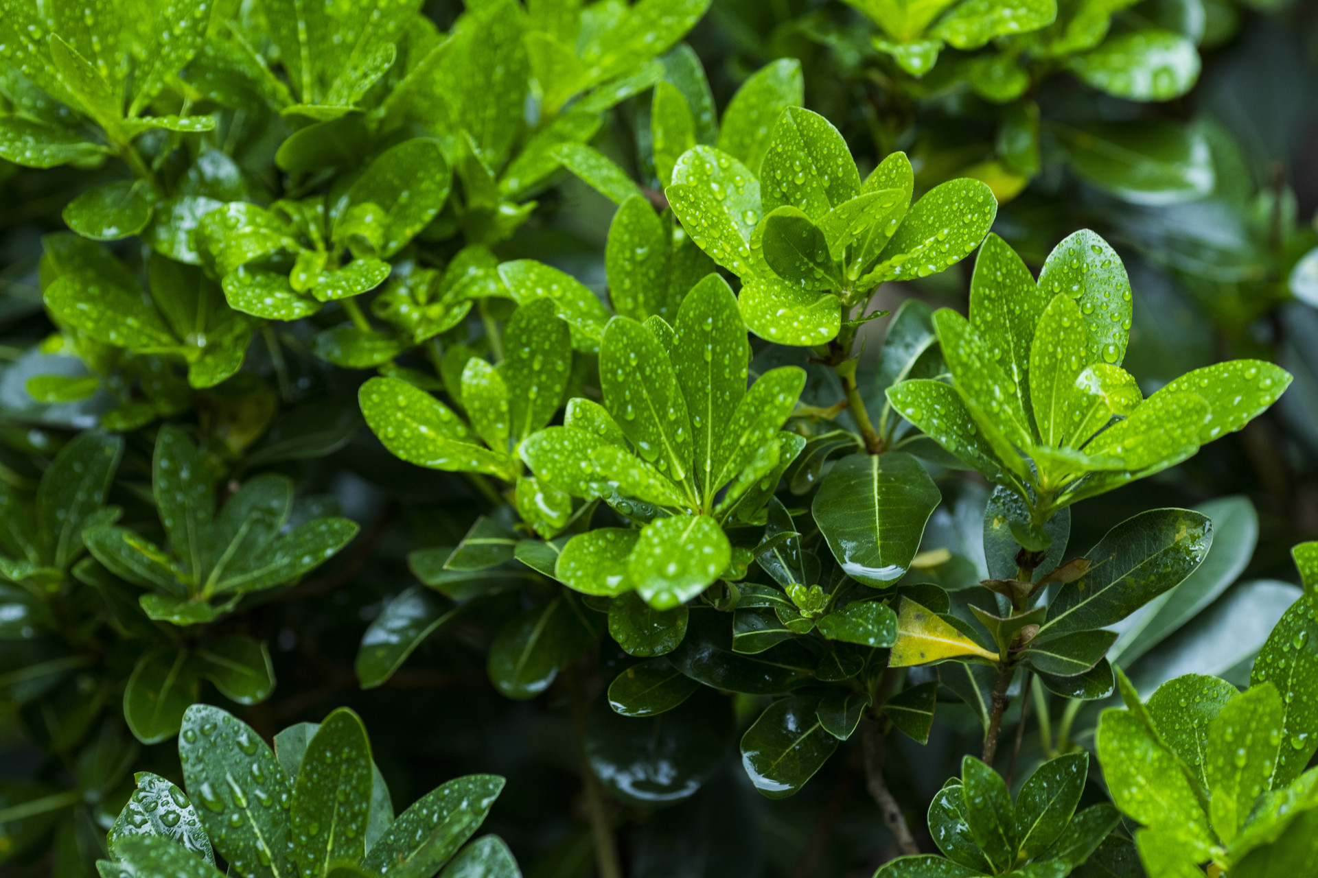 梅雨季节可以装修房子吗