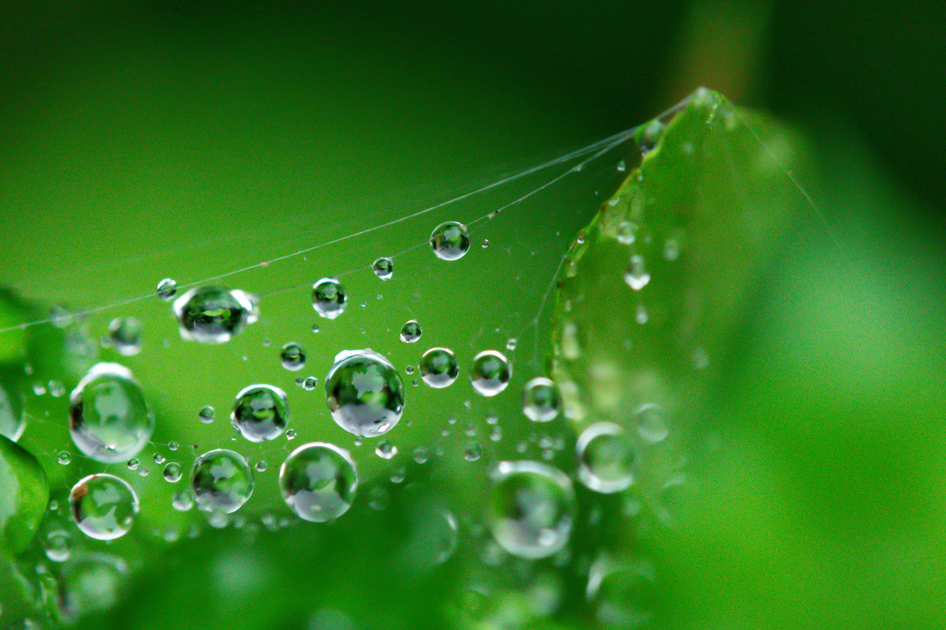 梅雨季节怎么防潮