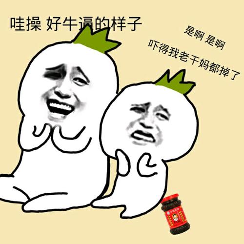 老干妈表情包搞笑图片 老干妈表情包分享7