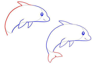 怎么画可爱的小海豚简笔画3