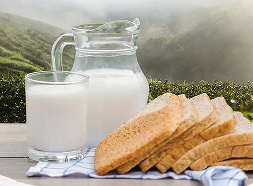 金典低脂纯牛奶哺乳期能喝吗