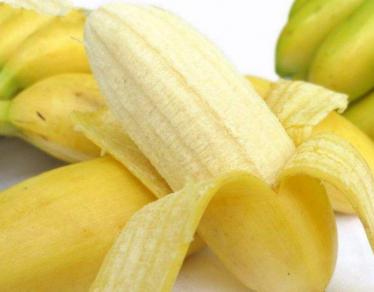 苹果蕉是转基因吗