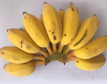 苹果蕉和香蕉的区别