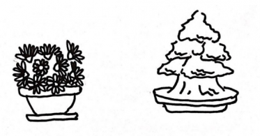 各种可爱的盆栽简笔画图片1