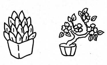 各种可爱的盆栽简笔画图片2