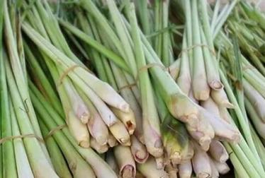 柠檬草的功效与作用及食用方法
