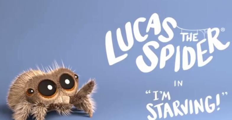 《小蜘蛛卢卡斯》 Lucas the Spider动画片全集英文版百度云资源下载