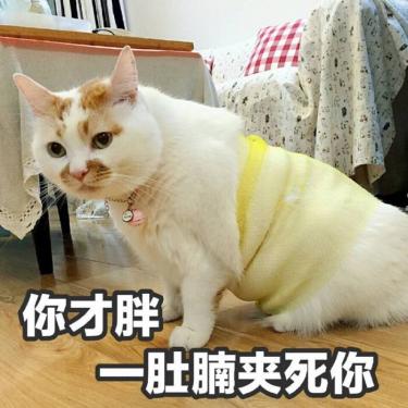 bodyshame什么意思 bodyshame是什么梗1