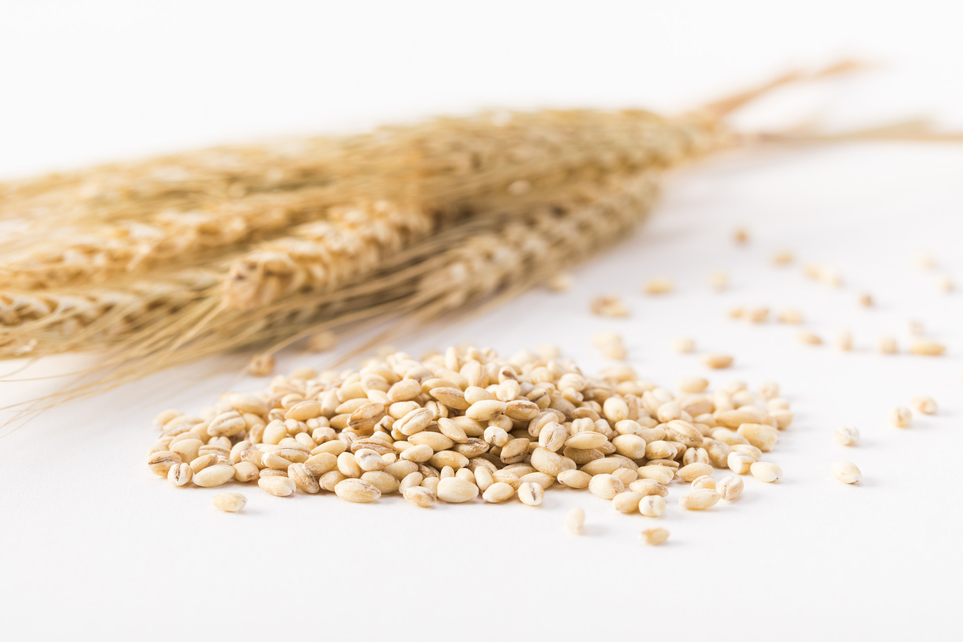 大麦和荞麦有什么区别