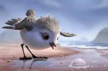 《鹬 piper》动画片完整版免费观看