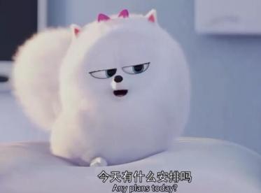 《爱宠大机密》英文版动画电影资源下载