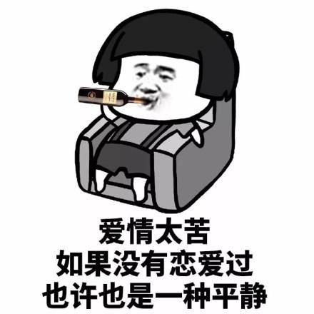 尝一下爱情的苦什么梗2