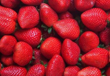 维生素c含量最多的水果排名