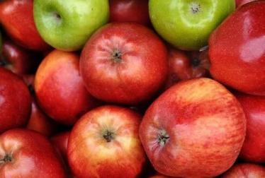 吃什么水果减肥效果最好