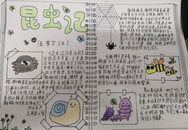 关于昆虫记的手抄报图片初二1