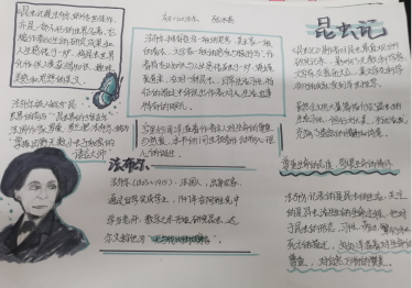关于昆虫记的手抄报图片初二2
