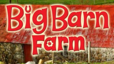 Big Barn Farm