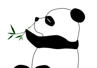 聪明的小熊猫故事