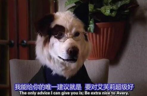 Dog with a blog狗狗博客第二季全集百度网盘资源免费下载