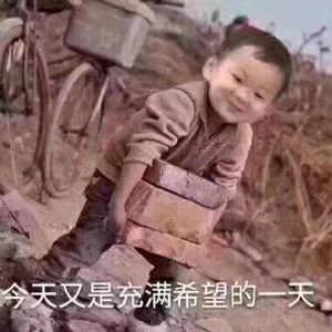 我选择打工是什么梗1