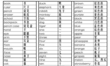2019 Spelling Bee小学初级组单词清单资源下载