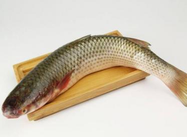梭鱼多少钱一斤