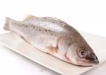 海鲈鱼价格一斤多少钱