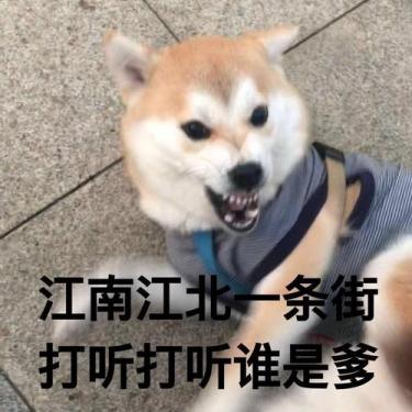 打听打听谁是爹什么梗2