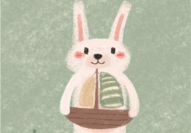 袋鼠和小兔子的故事