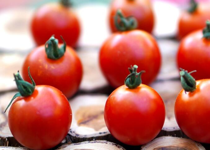 大番茄和小番茄哪个适合减肥