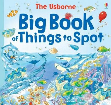 The Usborne Big Book of Things to Spot趣味大发现启蒙绘本资源下载