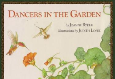 《Dancers in the Garden》儿童英语绘本pdf资源免费下载
