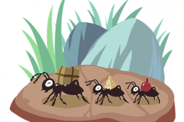 蚂蚁与大石头的故事