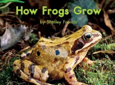 《How Frogs Grow青蛙是如何长大的》英语绘本故事pdf资源免费下载