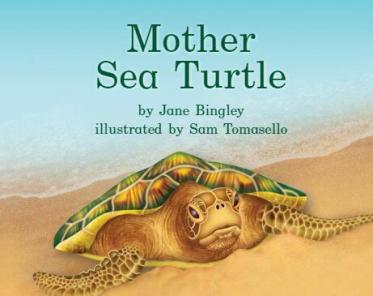 《Mother Sea Turtle海龟妈妈》海尼曼英语绘本pdf资源免费下载