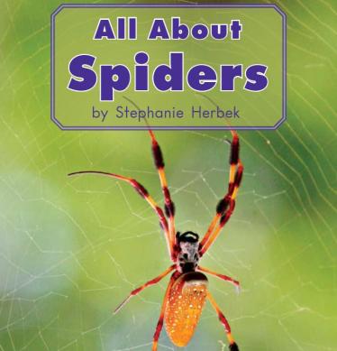 All About Spiders关于蜘蛛的一切 海尼曼英语绘本pdf资源免费下载 亲亲宝贝网