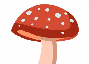 小蚂蚁的蘑菇伞童话故事