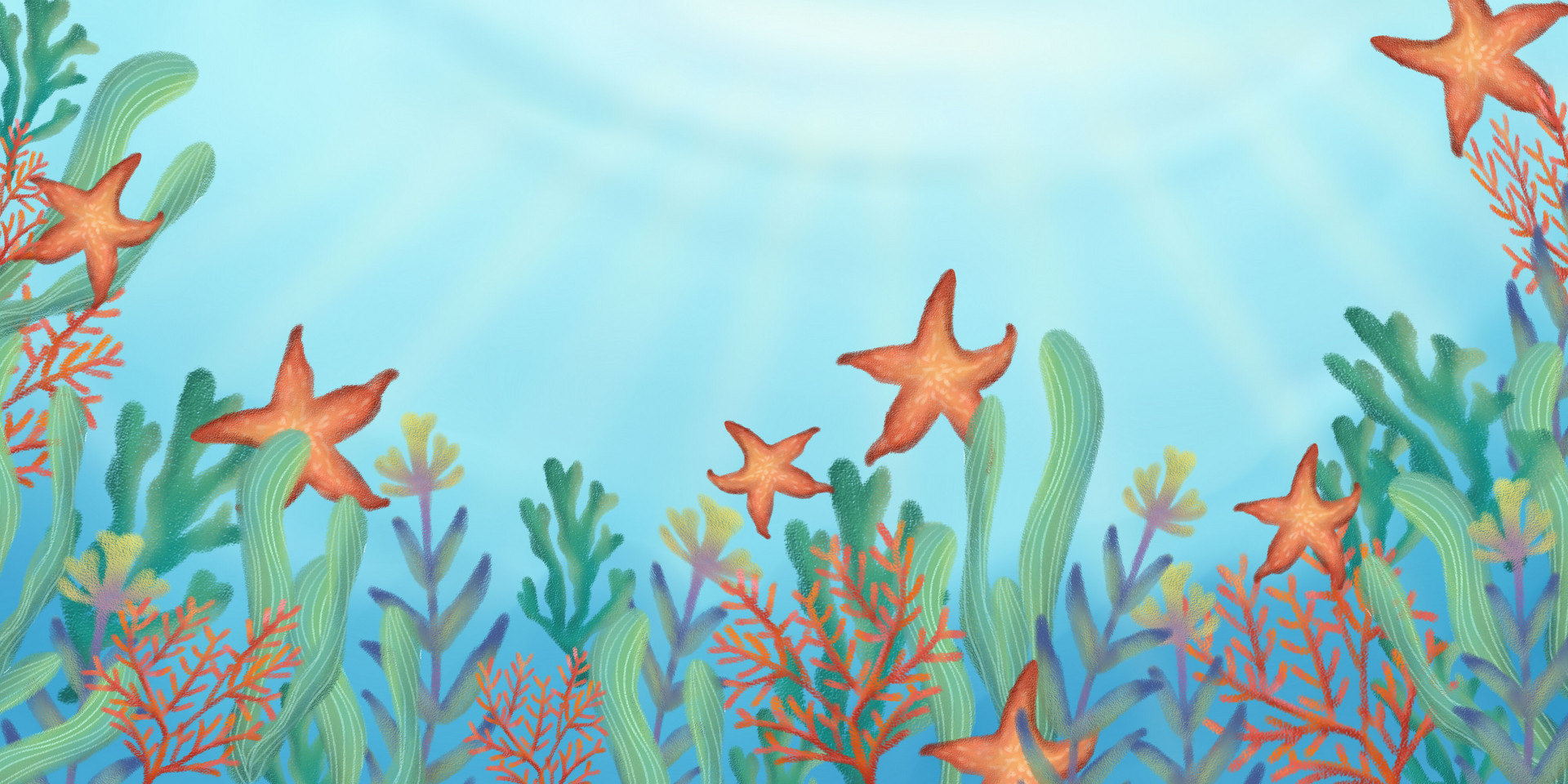海星一人一次能吃多少