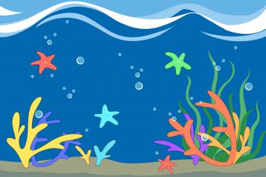 海星一人一次能吃多少