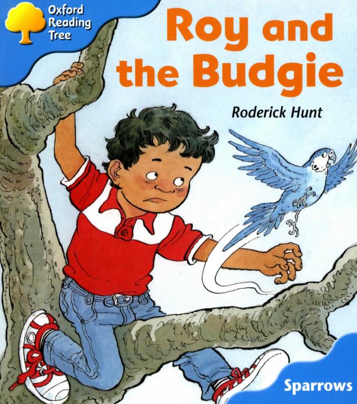 《Roy and the Budgie》牛津树绘本pdf资源免费下载