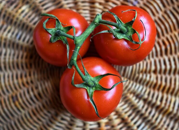 番茄什么时候吃最减肥 睡前三小时食用效果最佳