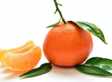 柑橘类水果包括哪些